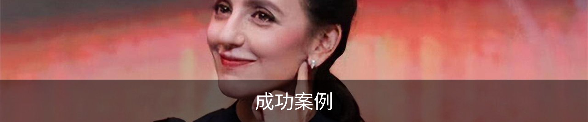 成功案例